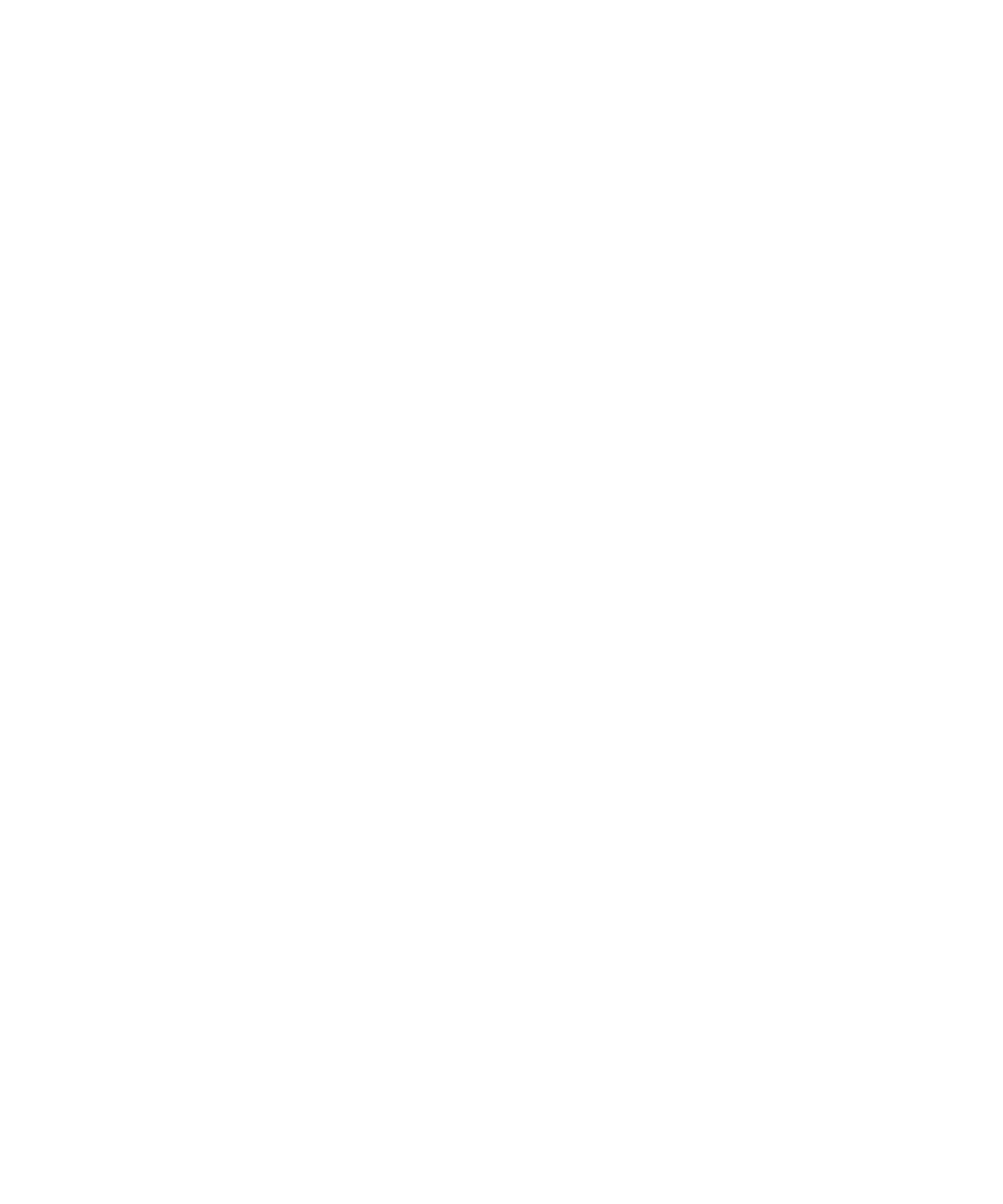 IBTA